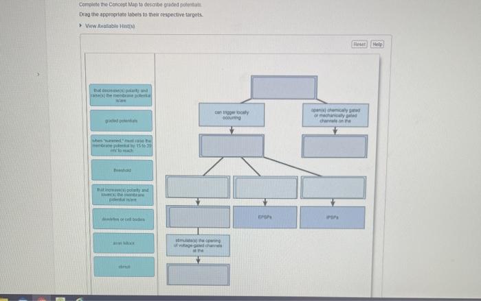 Complete the Concept Map to Describe Graded Potentials