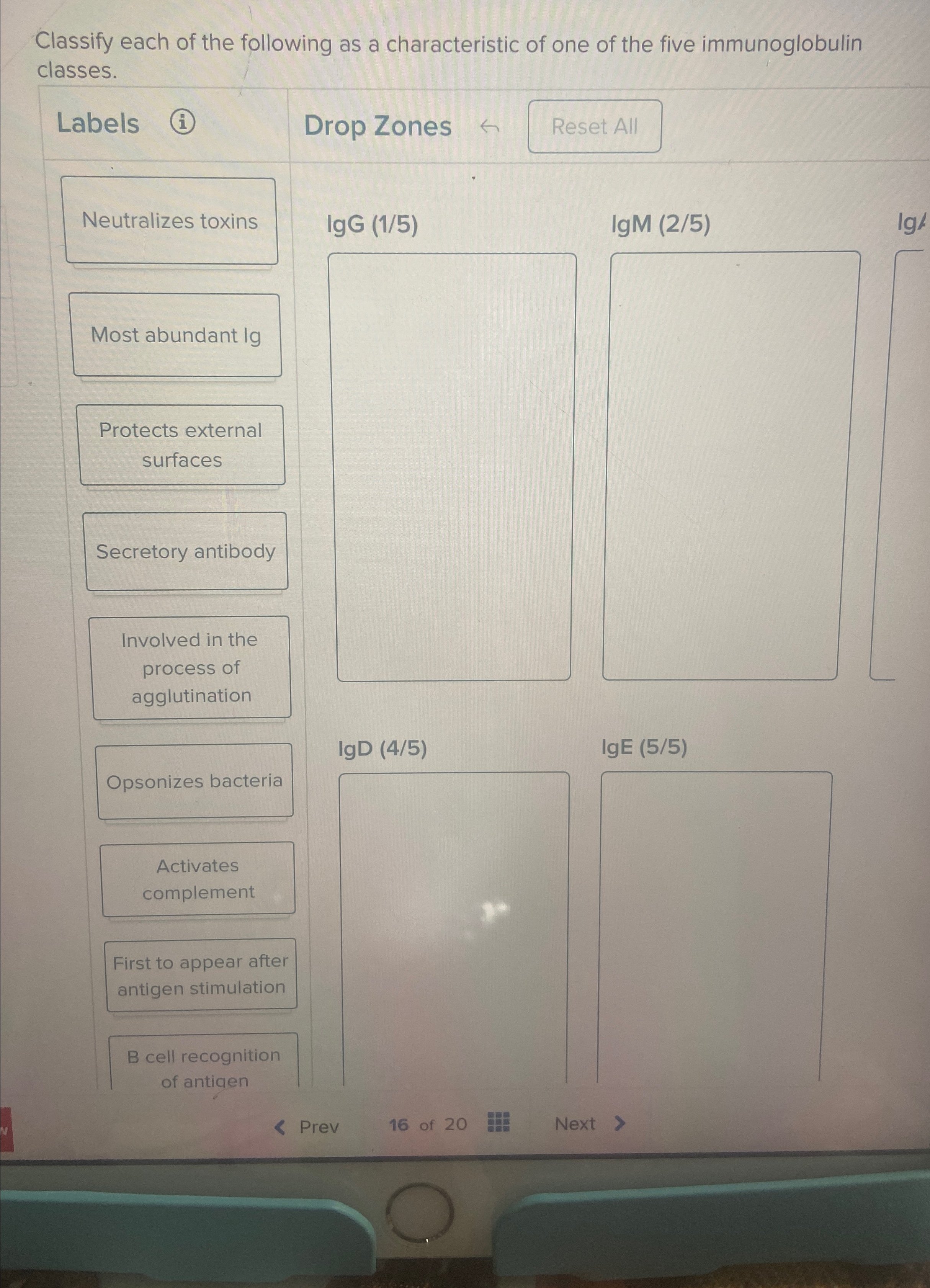 Solved Classify each of the following as a characteristic of | Chegg.com