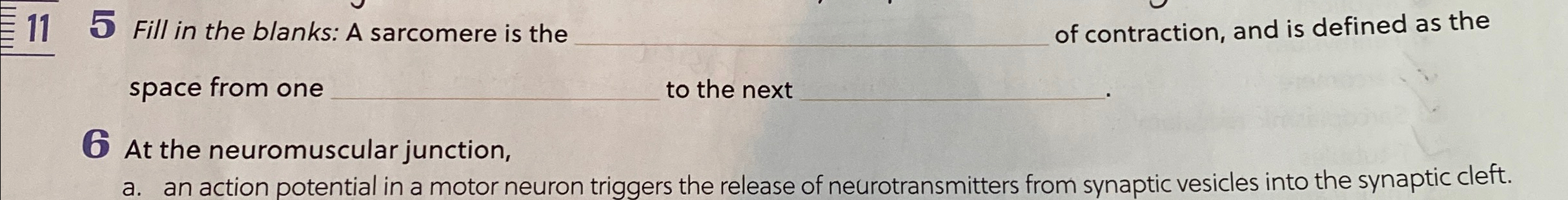 Solved 5 ﻿Fill in the blanks: A sarcomere is the q, ﻿of | Chegg.com