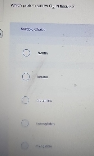 Solved Which protein stores O2 in tissues?Multiple | Chegg.com