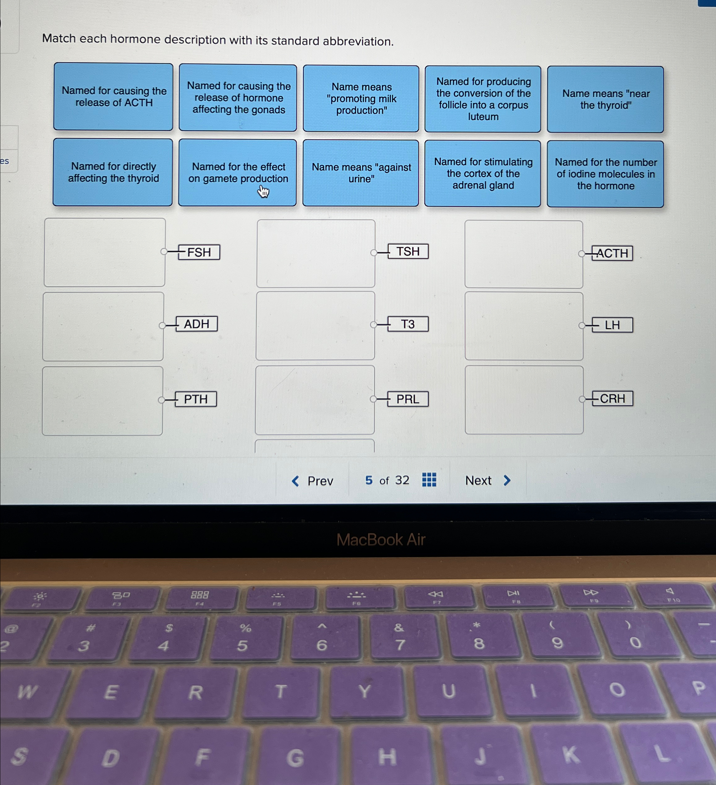 Solved Match each hormone description with its standard | Chegg.com