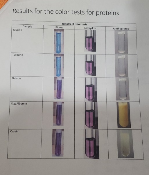 Solved Peptides and Proteins D. Color Tests for Proteins