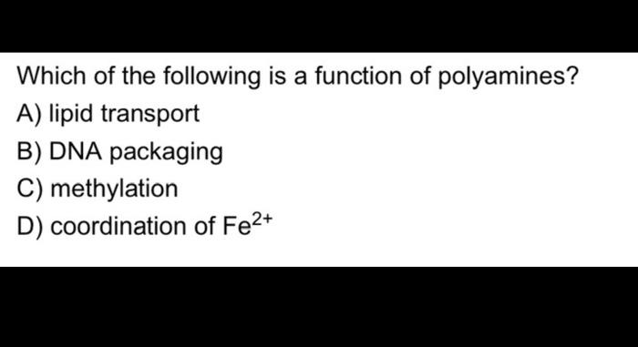 Solved Which of the following is a function of polyamines? | Chegg.com