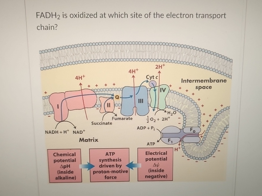 student submitted image, transcription available