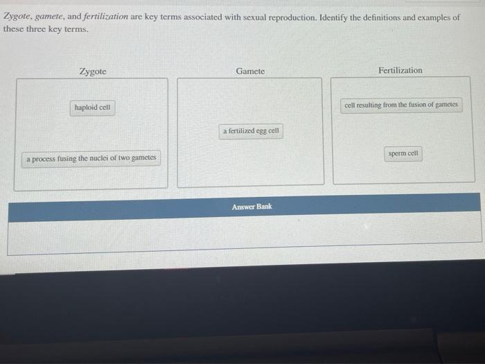 solved-zygote-gamete-and-fertilization-are-key-terms-chegg