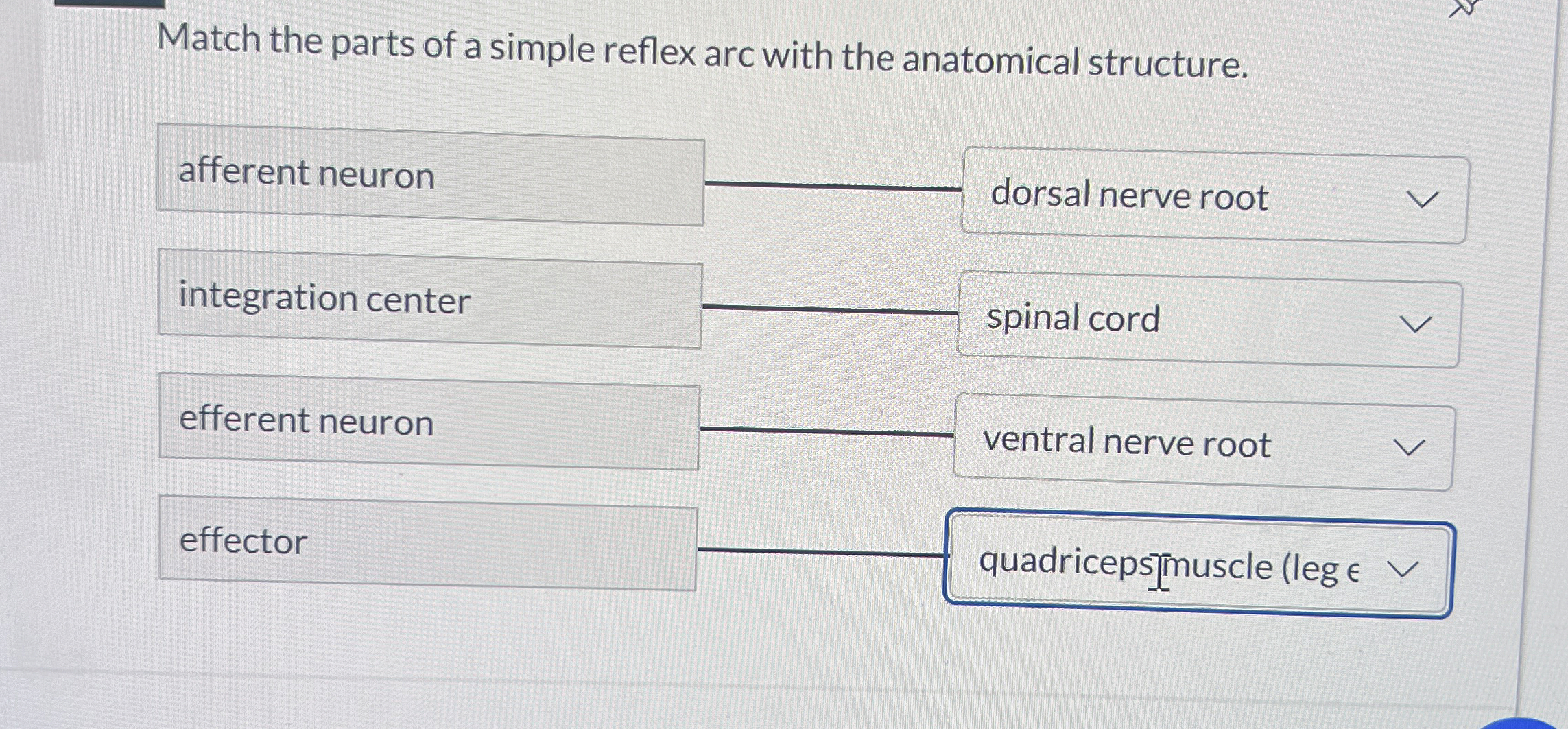 Solved Match the parts of a simple reflex arc with the | Chegg.com