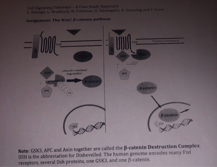 Solved Cell Signaling Pathways - A Case Study Approach L. | Chegg.com