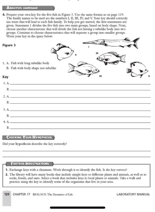 ANALYSIS continued 4. Prepare your own key for the | Chegg.com