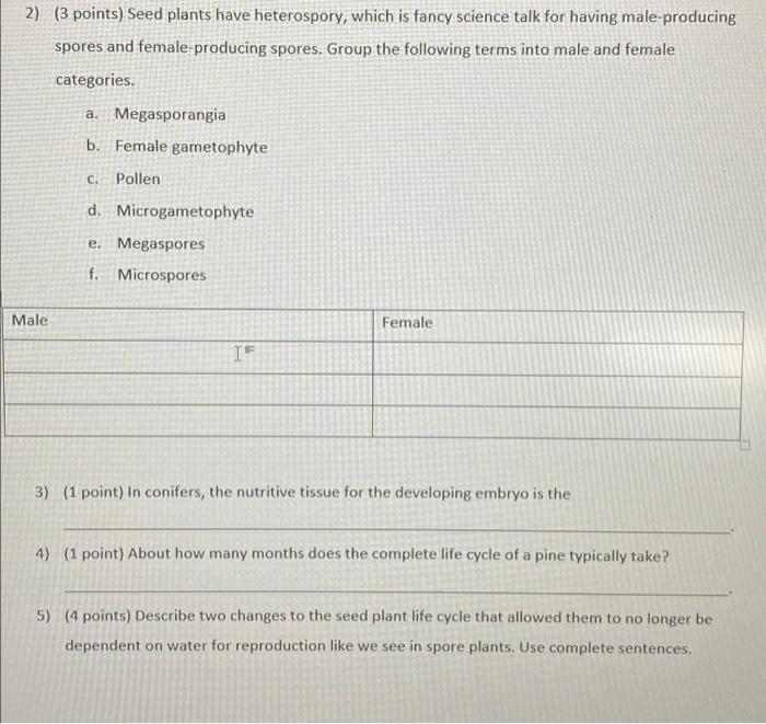 Solved 2) (3 points) Seed plants have heterospory, which is