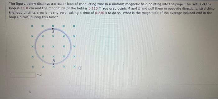 Solved The figure below displays a circular loop of | Chegg.com