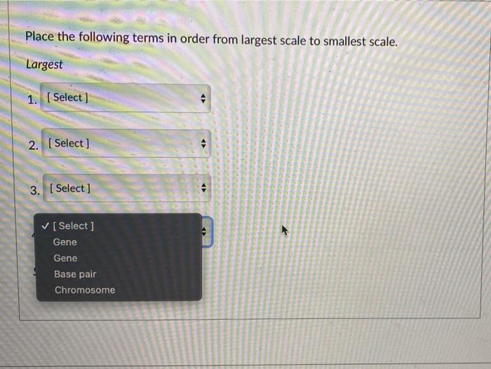 Solved Place the following terms in order from largest scale | Chegg.com