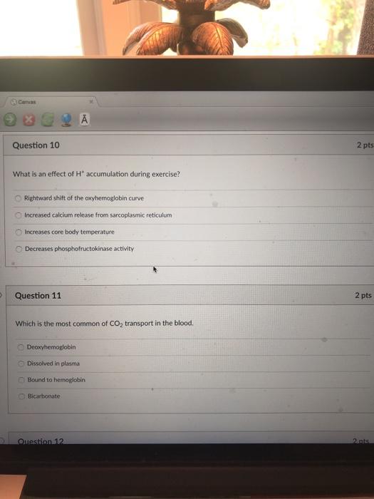 Solved Canvas À Question 10 2 pts What is an effect of H' | Chegg.com