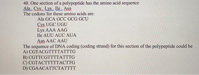 Solved 40. One section of a polypeptide has the amino acid | Chegg.com