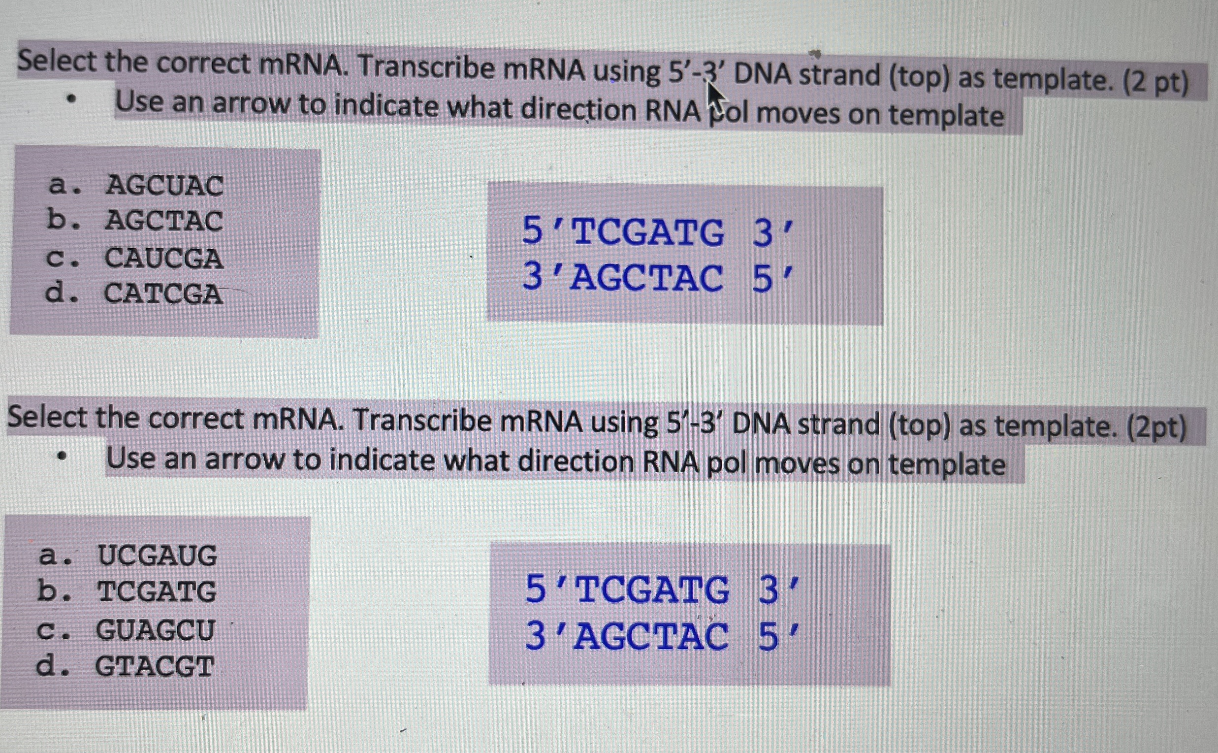 Solved Select the correct mRNA. Transcribe mRNA using 5'-3' | Chegg.com