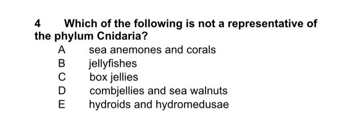 4 Which of the following is not a representative of the phylum Cnidaria?
A sea anemones and corals
B jellyfishes
C box jellie