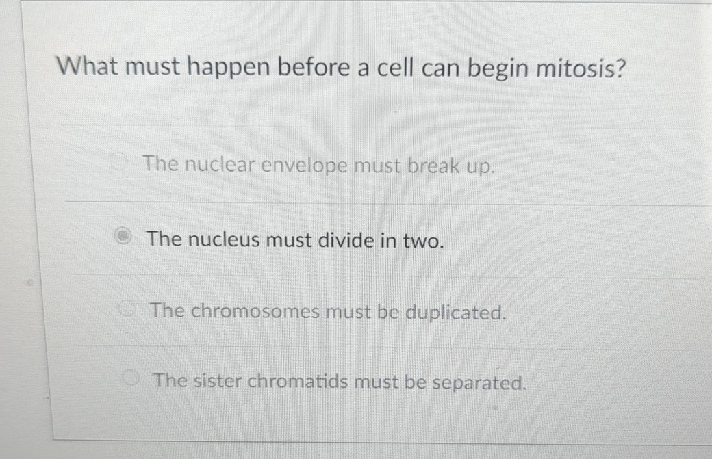 Solved What must happen before a cell can begin mitosis?The 