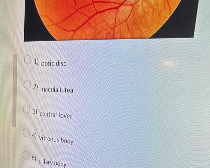 Solved 1) optic disc 2) macula lutea 3) central fovea 1)