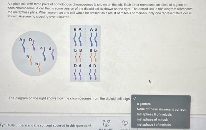 A diploid cell with three pairs of homologous | Chegg.com