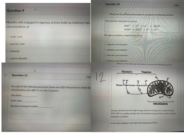 Solved Question 10 1 pts Question 9 Please use the following | Chegg.com