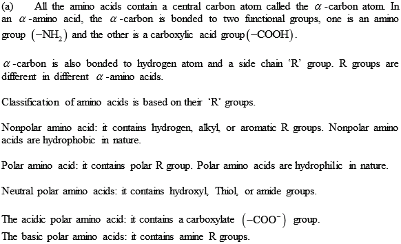 Solved: Chapter 19 Problem 1SC Solution | Selected Solution Manual For ...