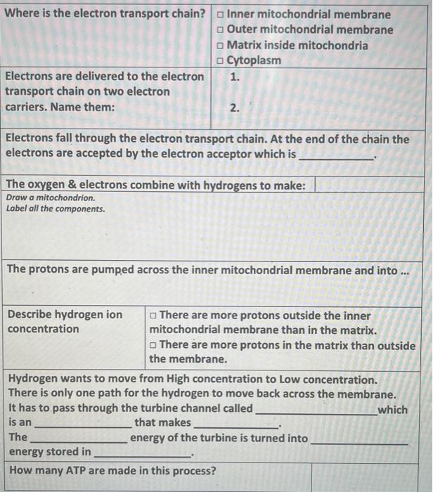 Solved \begin{tabular}{l|l} Where is the electron transport | Chegg.com