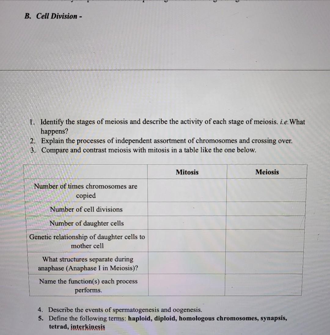 Solved 1. Identify the stages of meiosis and describe the | Chegg.com