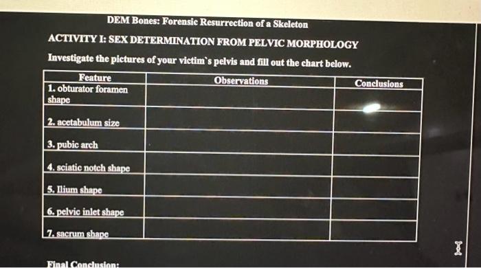 Solved ACTIVITY 2: SEX DETERMINIATION FROM PELVIC MORPHOLOGY