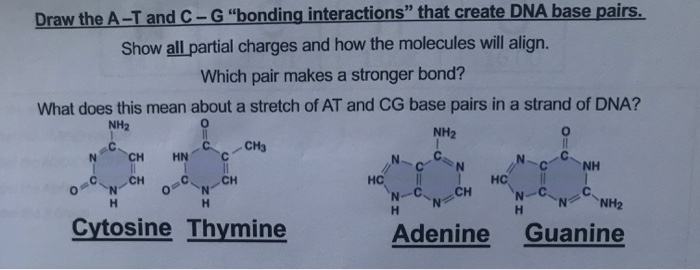 Solved Oc O C S S N Ch Hn N Ch N H H Draw The A T And C Chegg Com