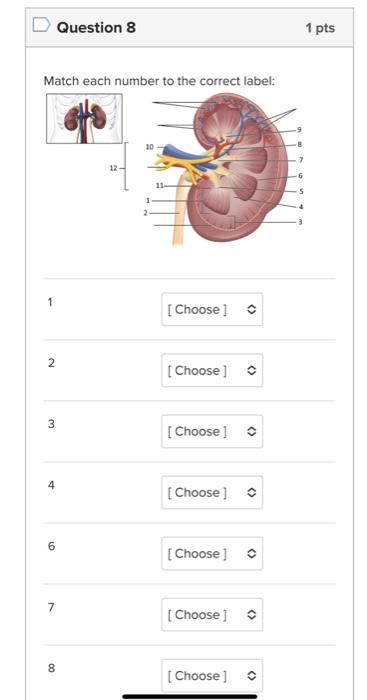 Solved Match each number to the correct label: | Chegg.com