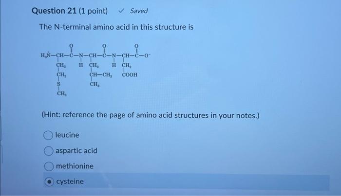 Solved The N-terminal amino acid in this structure is (Hint: | Chegg.com