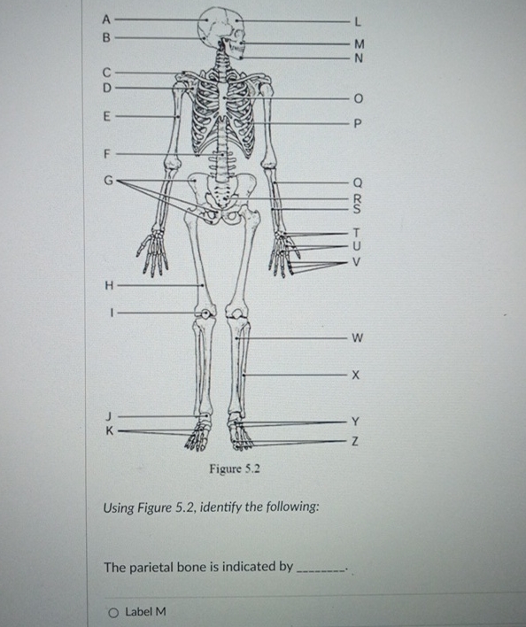 Solved Figure 5.2Using Figure 5.2, ﻿identify the | Chegg.com