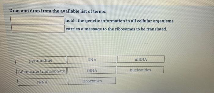 Solved Drag and drop from the available list of terms. is | Chegg.com