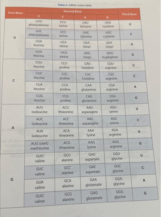 student submitted image, transcription available below