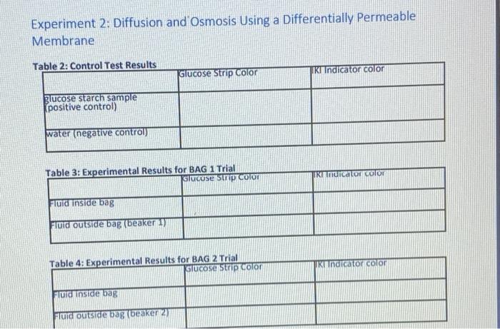 experiment 2 diffusion and osmosis using a differentially permeable membrane