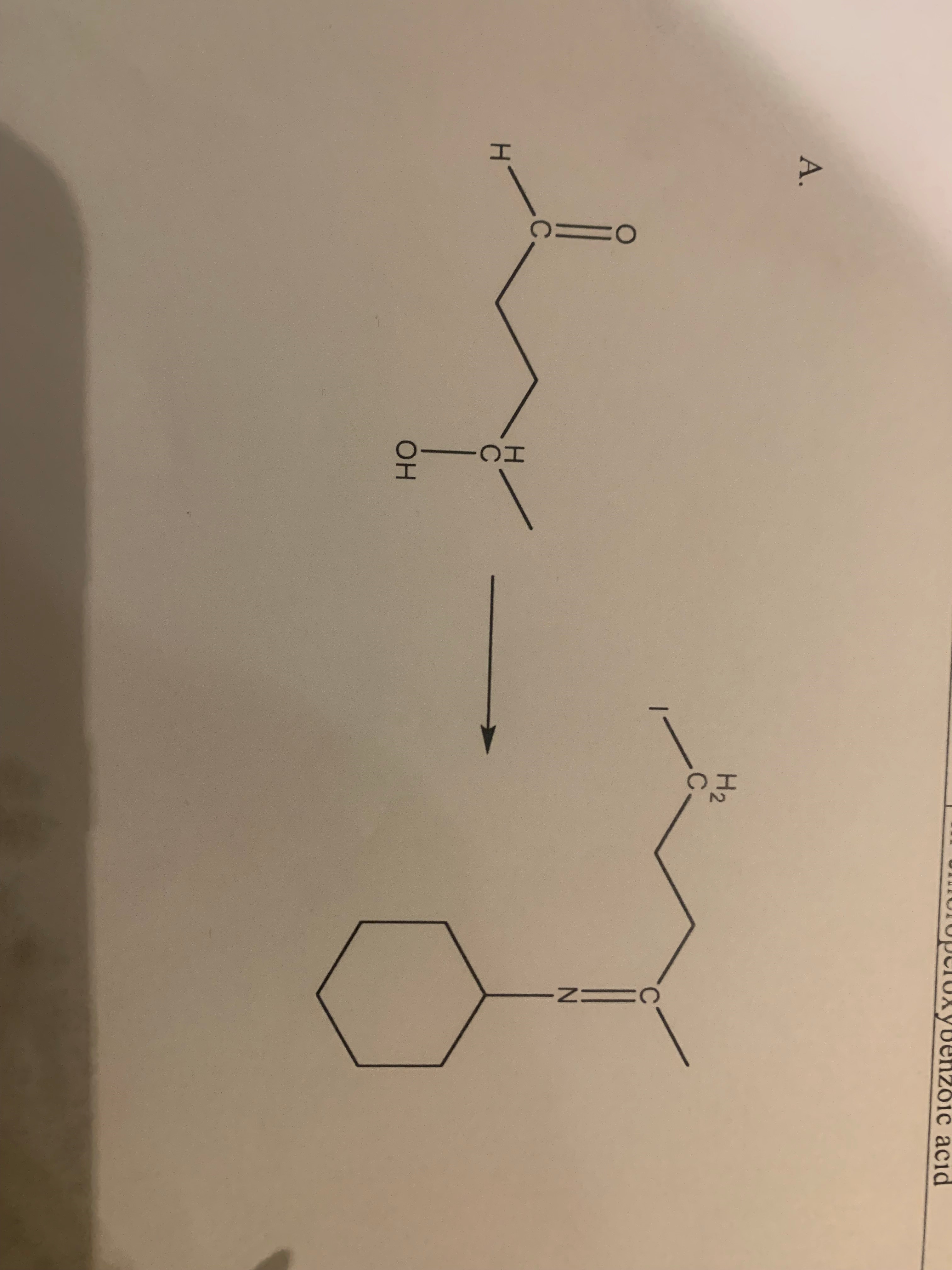 Solved Propose a mechanism for the reaction below, including | Chegg.com