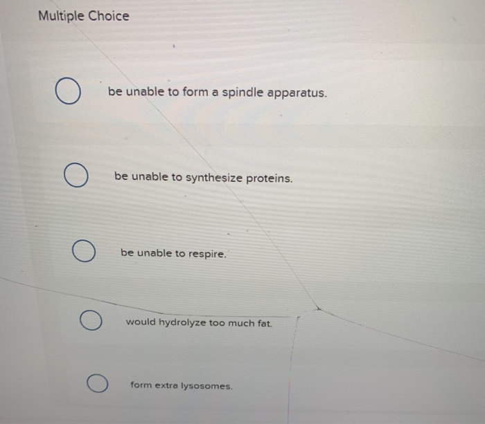 Solved you are investigating a cell under the microscope and | Chegg.com