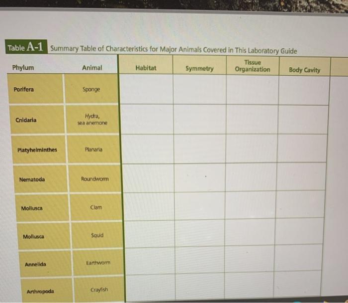 Organs and their body cavities image