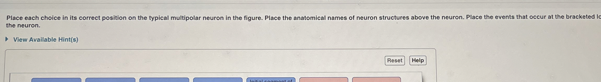 Solved Place each choice in its correct position on the | Chegg.com