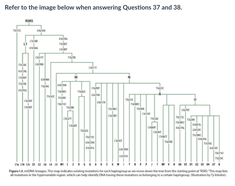 Solved A student in LS23L has just used their mtDNA