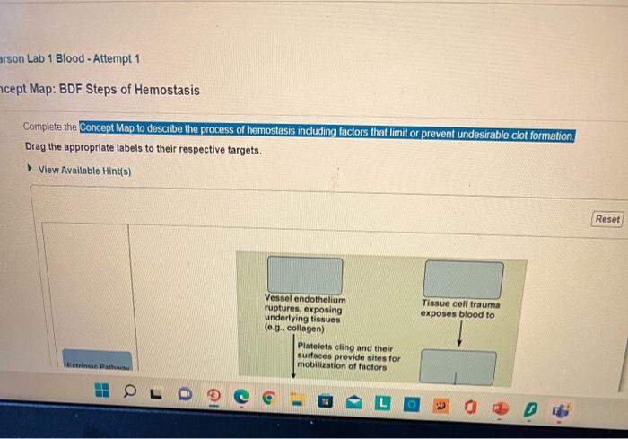 Complete the Concept Map to describe the process of hemostasis including factors that limit or prevent undesirable clot forma