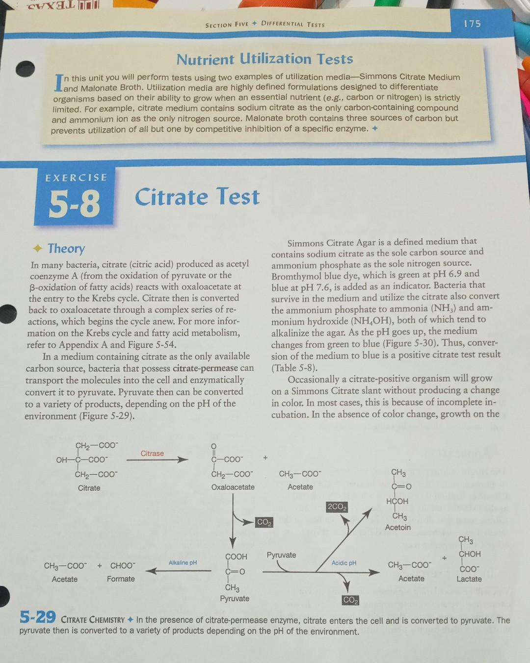 Solved TABLE 5-8 Citrate Test Results and | Chegg.com