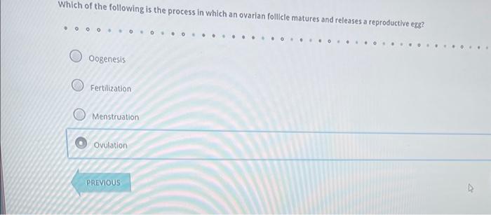 Solved To separate genomic DNA fragments by size, which of | Chegg.com