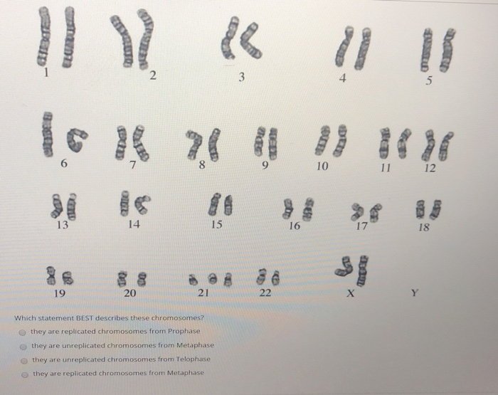 Solved OD BE 8 mona Which statement BEST describes these | Chegg.com