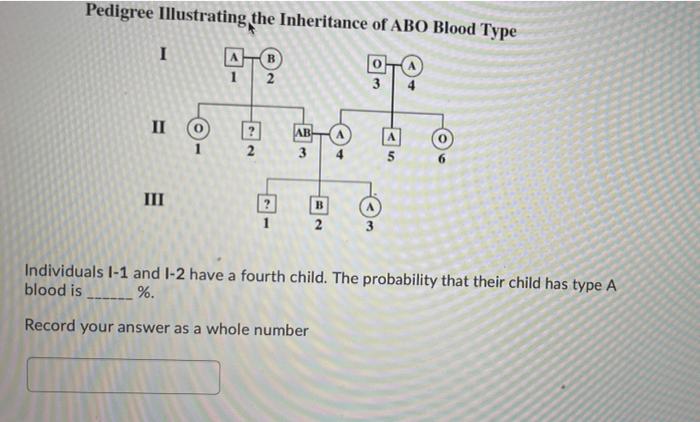 Solved Pedigree Illustrating The Inheritance Of ABO Blood | Chegg.com