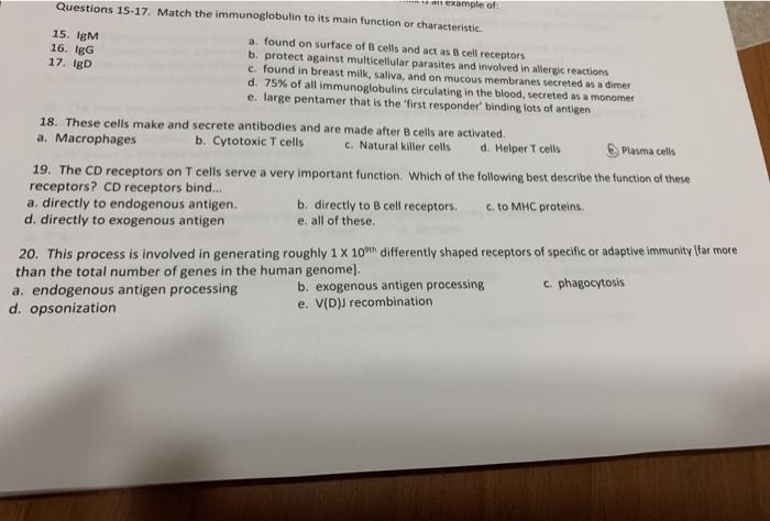 Solved Questions 15-17. Match The Immunoglobulin To Its Main 