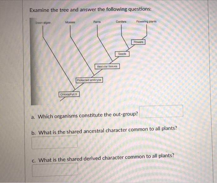 Solved Examine the tree and answer the following questions: | Chegg.com
