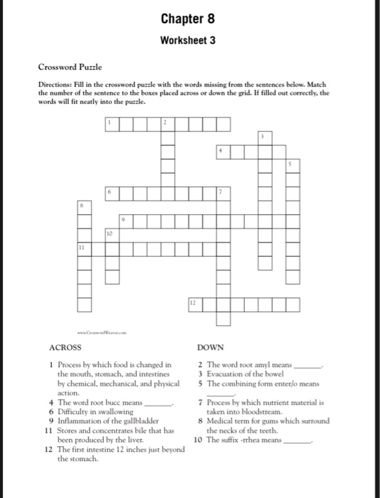 Solved Chapter 8 Worksheet 3 Crossword Puzzle Directions: Chegg com