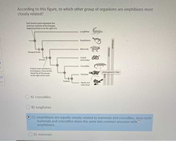Solved According to this figure, to which other group of | Chegg.com