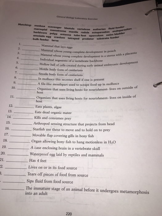 Solved General Biology Laboratory Exercises Eutherian Ful