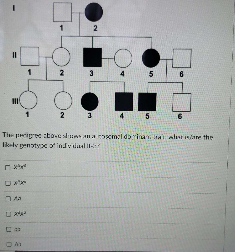 Solved 1 2 1 2 3 4 5 6 1 2 3 4 5 6 The pedigree above shows | Chegg.com